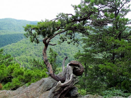 South Mountains State Park, N.C. (Photo by bobistraveling/flickr)