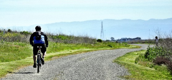A cyclist on the trails in Hayward Regional Shoreline, Calif. (Photo by japes18/flickr)