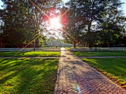 The campus of the College of William and Mary in Williamsburg, Va. (Photo by Oleg/flickr)