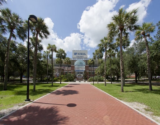 The Gator Walk to Ben Hill Griffin Stadium. (Photo by Gainesville Apts/flickr)