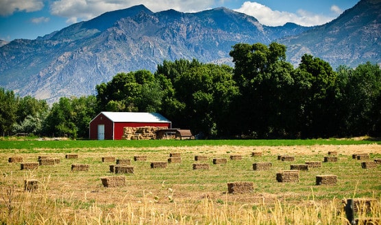 A pastoral scene in American Fork, Utah. (Photo by Don LaVange/flickr)