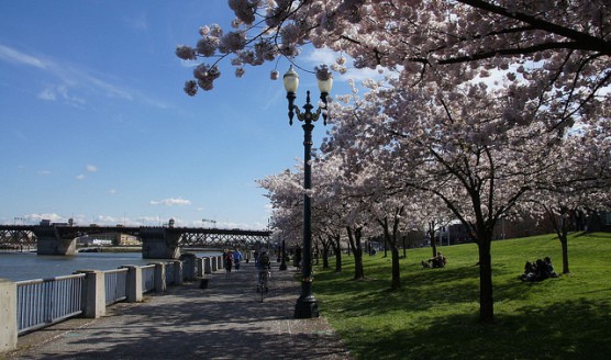 Portland's Waterfront Park. (Photo by Sam Churchill/flickr)