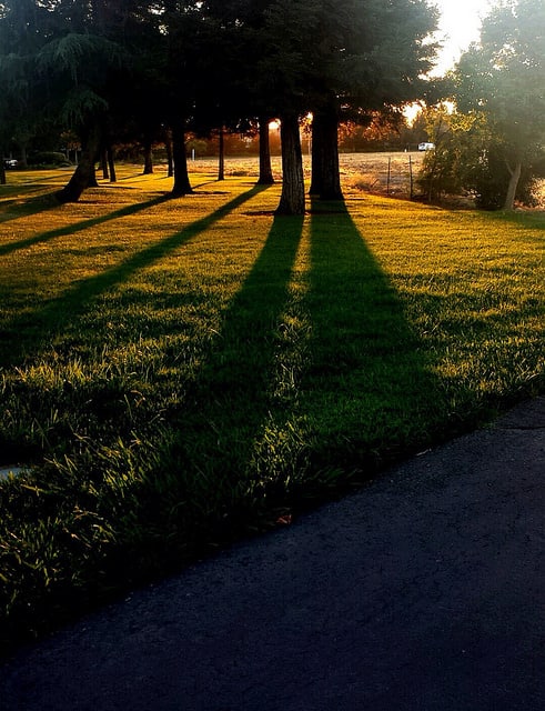 Late afternoon in Elk Grove, California, in September 2014. (Photo by Tiocfaidh/flickr)