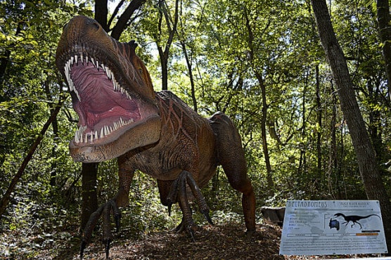 A life-like Tyrannosaurus Rex at Dinosaurs Live!, at the Heard Museum in McKinney, Texas. (Photo by Russ/flickr)