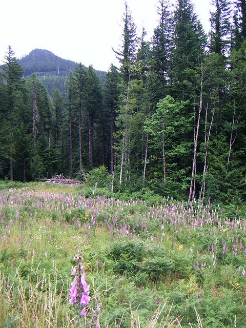 Lolo Pass, Idaho, photographed in 2008. (Photo by McD22/flickr)