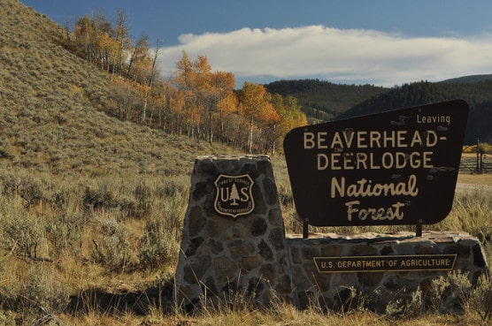 Photo by U.S. Forest Service Northern Region/flickr