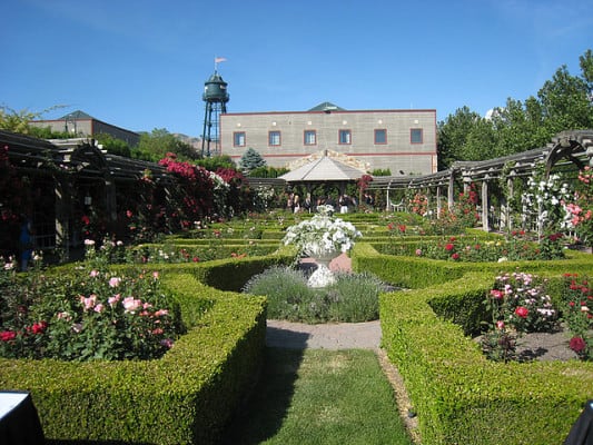 Rose garden at Thanksgiving Point in Lehi, Utah. (Photo by David Wiley/flickr)