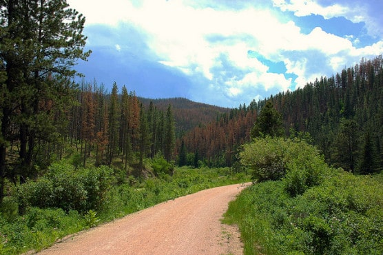 A stretch of the Mickelson Trail in the Black Hills of South Dakota. (Photo by wilmsie_2002/flickr)