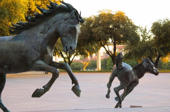 The Mustangs at Las Colinas, photographed in October 2012. (Photo by Bill Chance/flickr)