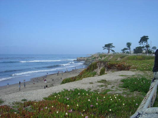 Scenery along West Cliff Drive in Santa Cruz, Calif. (Photo by Tané Tachyon/flickr)