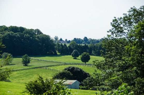 Roadside scenery in Chester County, Pennsylvania. (Photo by likeaduck/flickr)