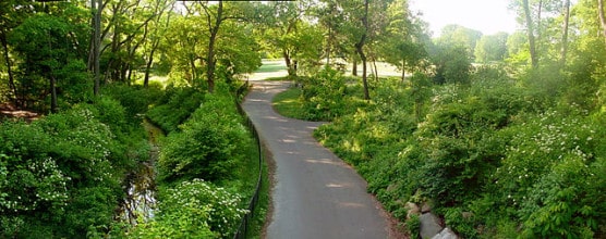 A path in Brooklyn's Prospect Park. (© Garry R. Osgood/Wikimedia)