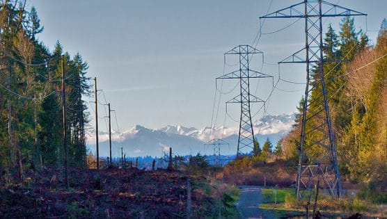 The Redmond Watershed. (Photo by Bob Clark/flickr)