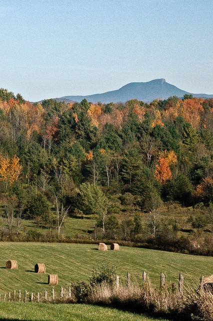 10294161226_be2e5a59db_z