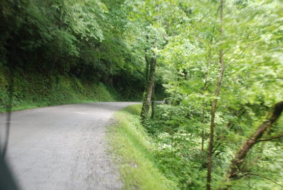 The Scream Half Marathon route in Jonas Ridge, North Carolina