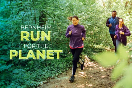 The Bernheim Run for the Planet 14-miler in Clermont, Kentucky.