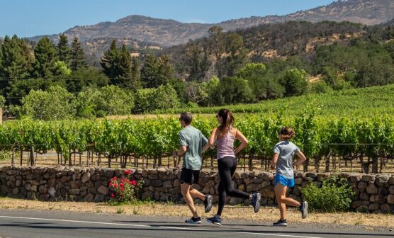 Runners make their way along Silverado Trail at the WineShine Half Marathon in Napa, California.
