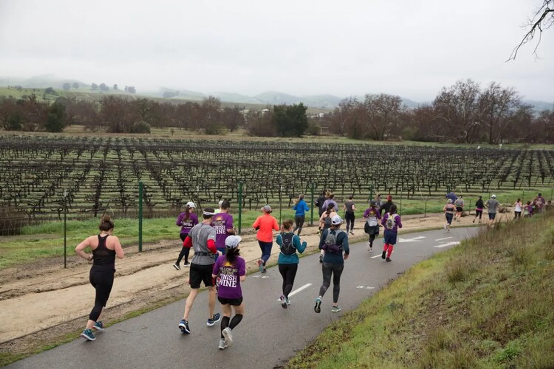 The Livermore Valley Half Marathon in the bay area half marathon list - a scene from the course.