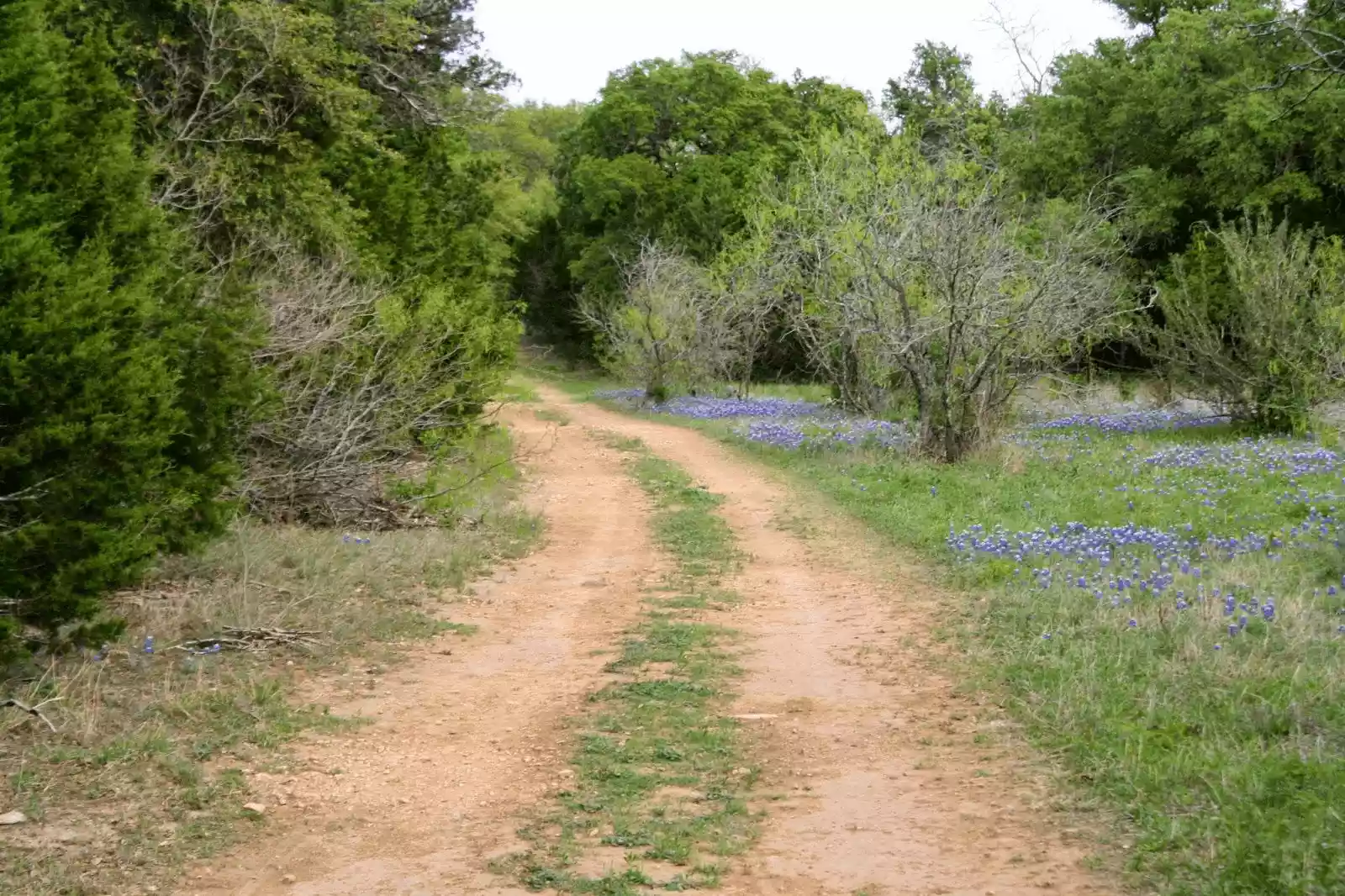 Meadowview at Sunset Valley shopping center