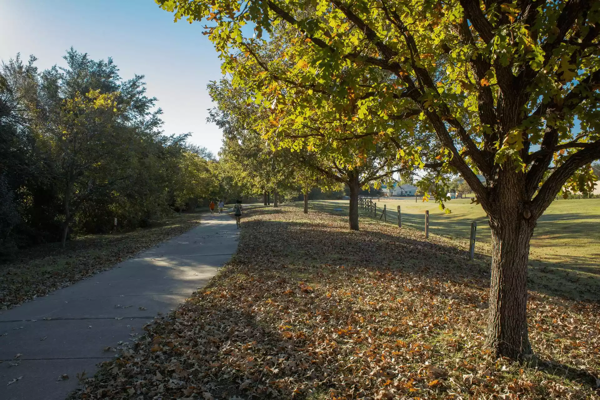 Pflugerville Pfennig Park