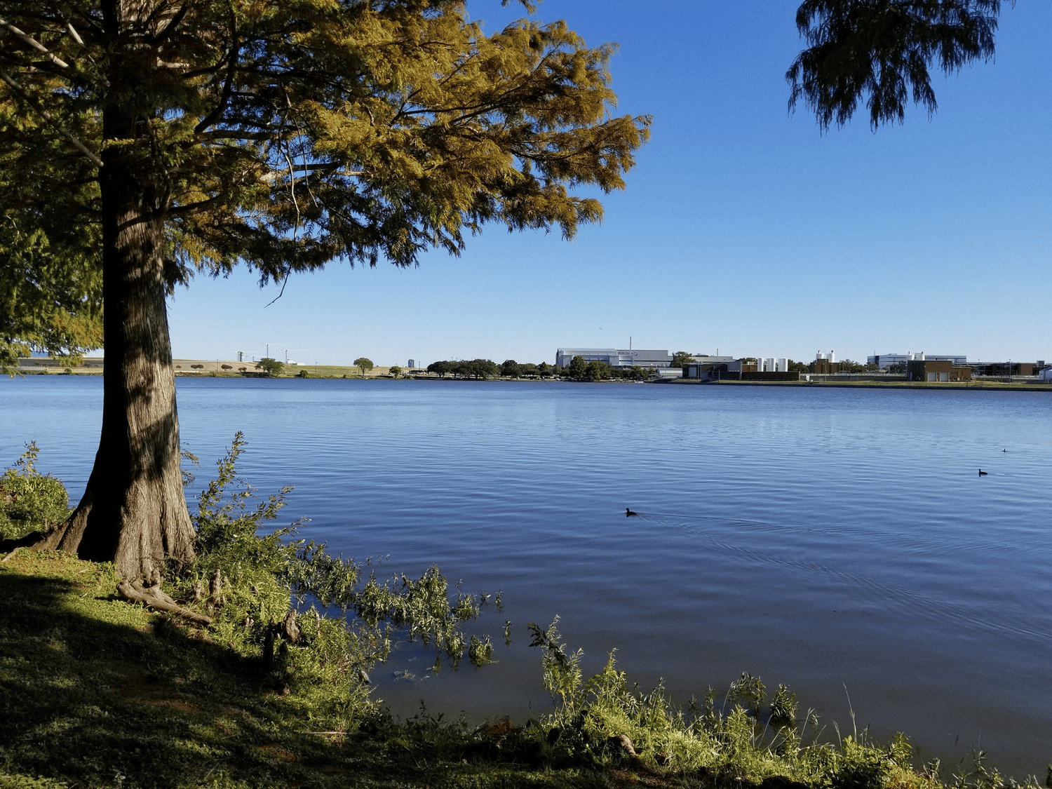 Dallas's Bachman Lake, home of the Texas Double and Triple Dallas Half Marathons.