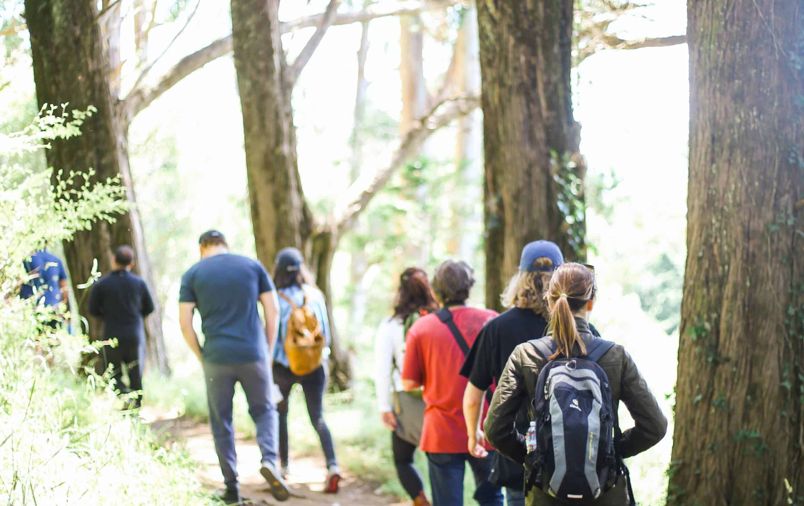 Training on trails provides a softer surface for impact when walking a half marathon.