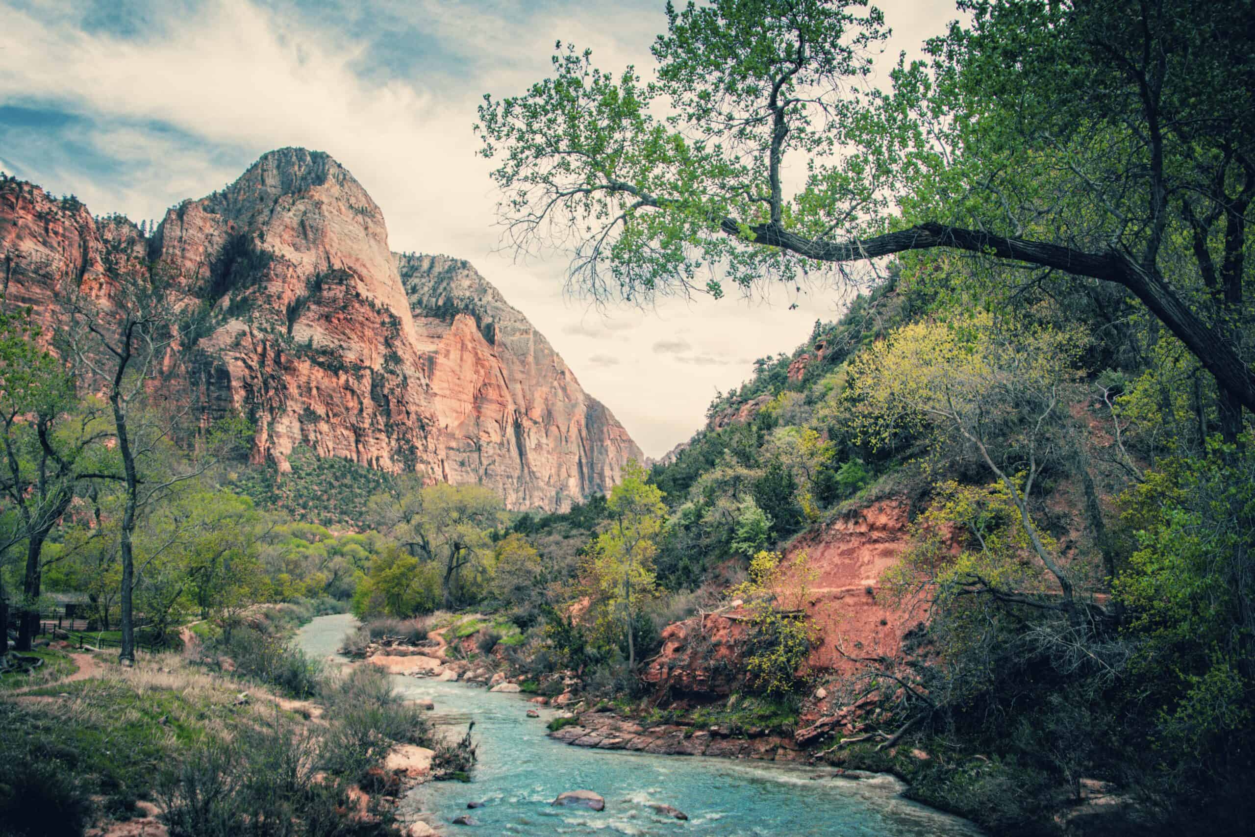 The natural beauty of the Zion Half Marathon.