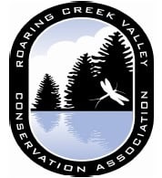 Hellbender Half Marathon & 5K logo