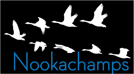 Nookachamps Winter Runs logo