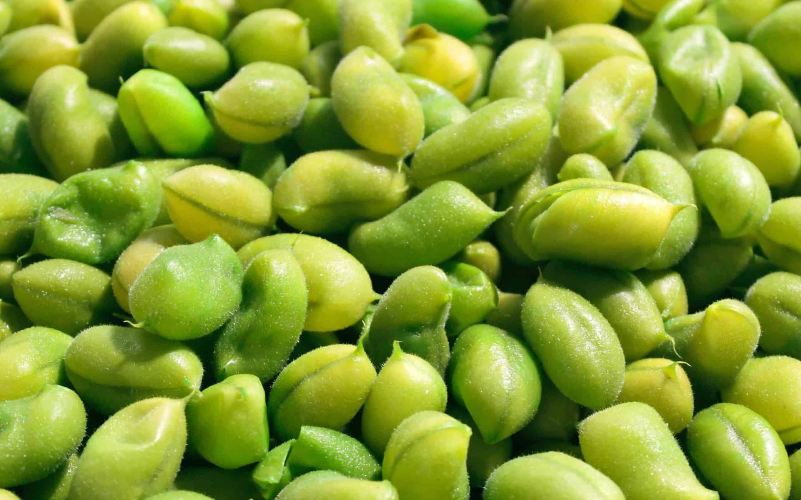 Edamame, a high protein snacks for runners.