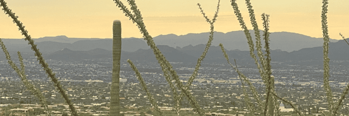 TMC Get Moving Tucson Half Marathon, 5K & 1-Mile course in Tucson, AZ 