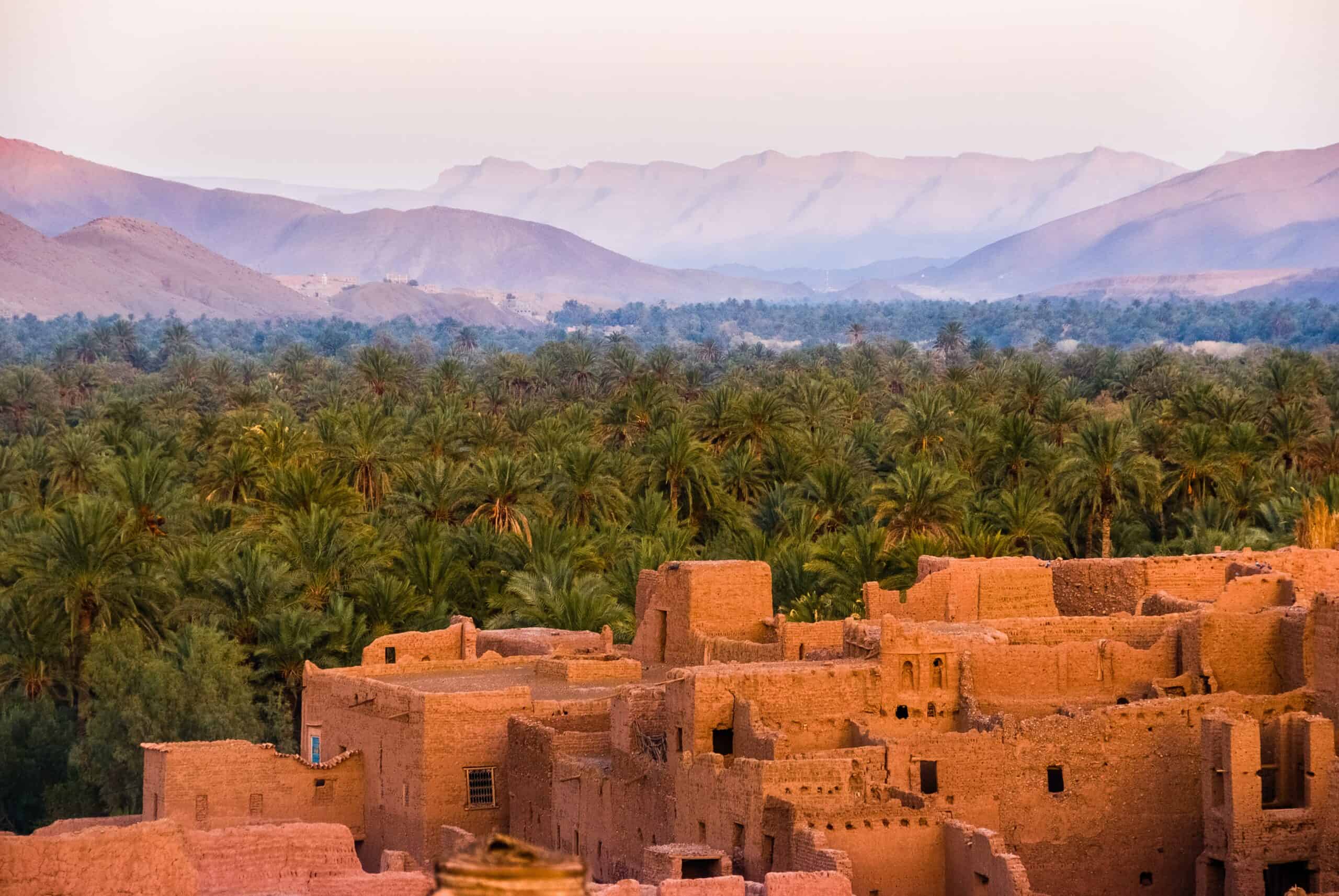Morocco against the High Atlas Mountains and tropical foliage.
