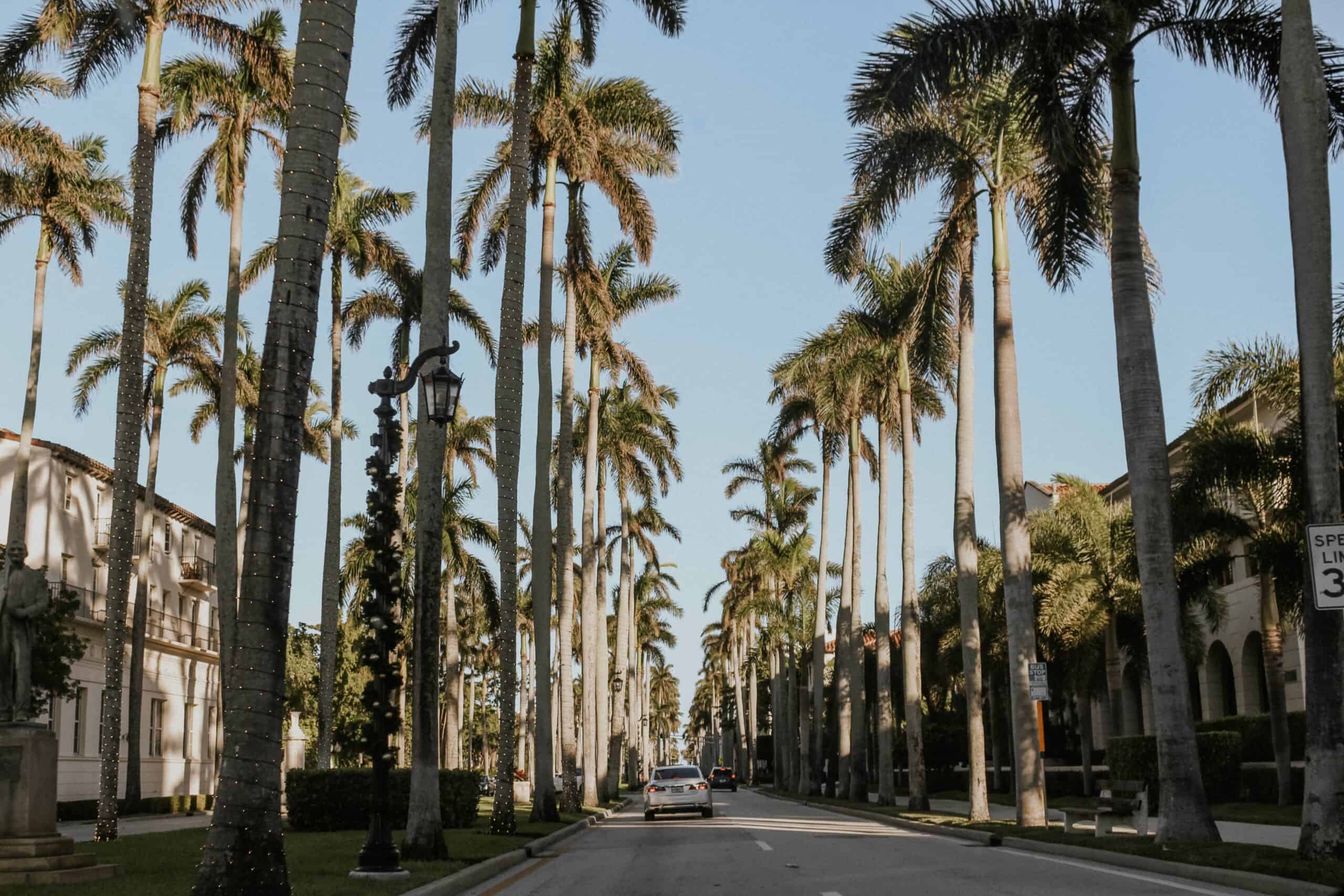 West Palm Beach with palm trees lining a street and a car.