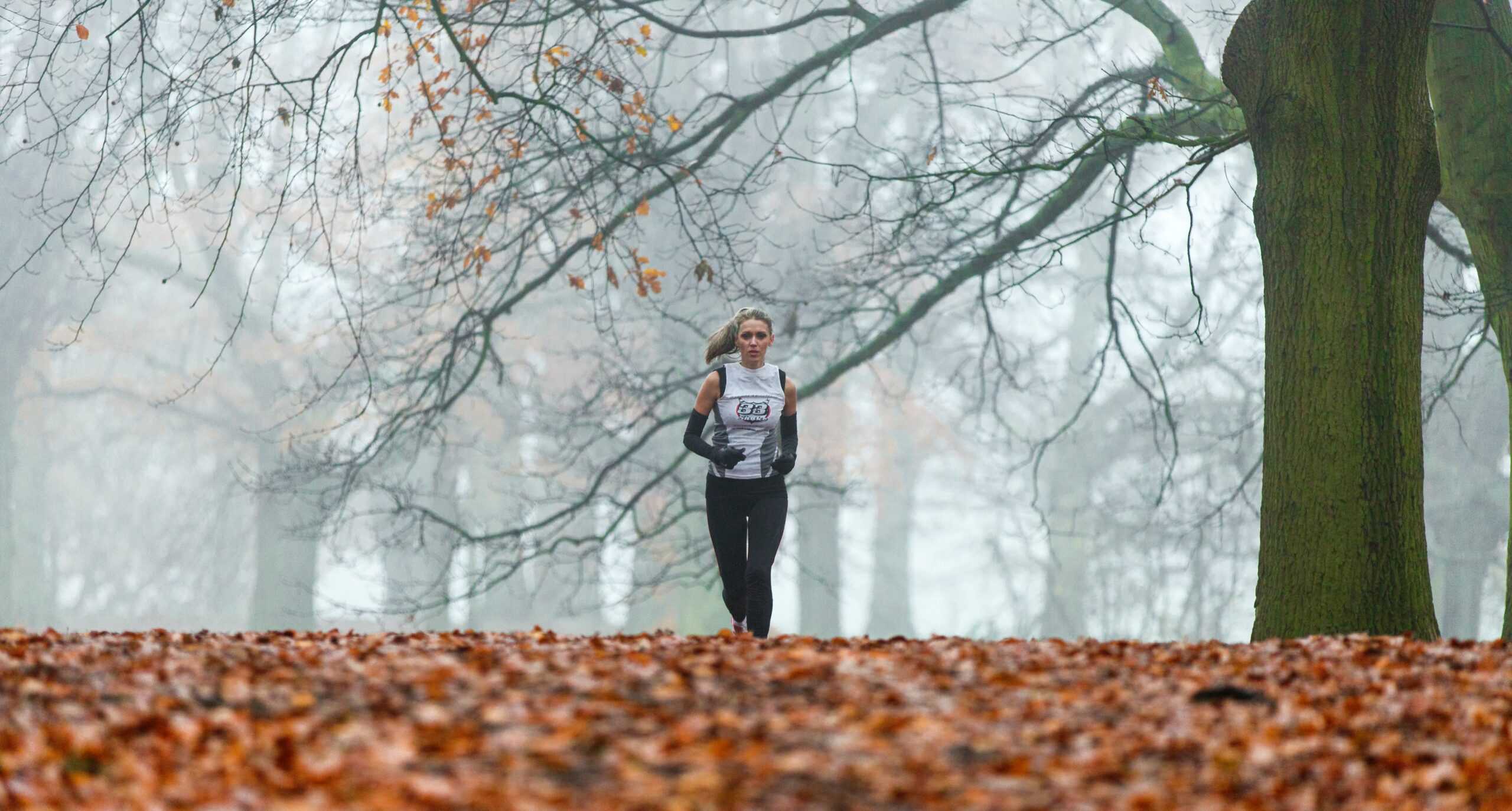 A woman running long distances in the fall.