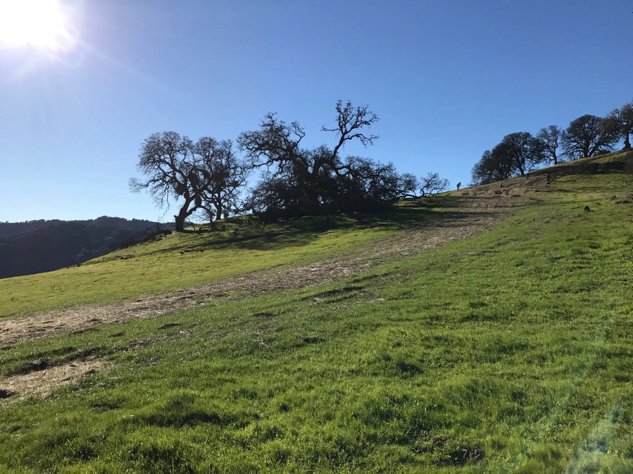 Calero Trail Run (Spring) in San Jose, CA