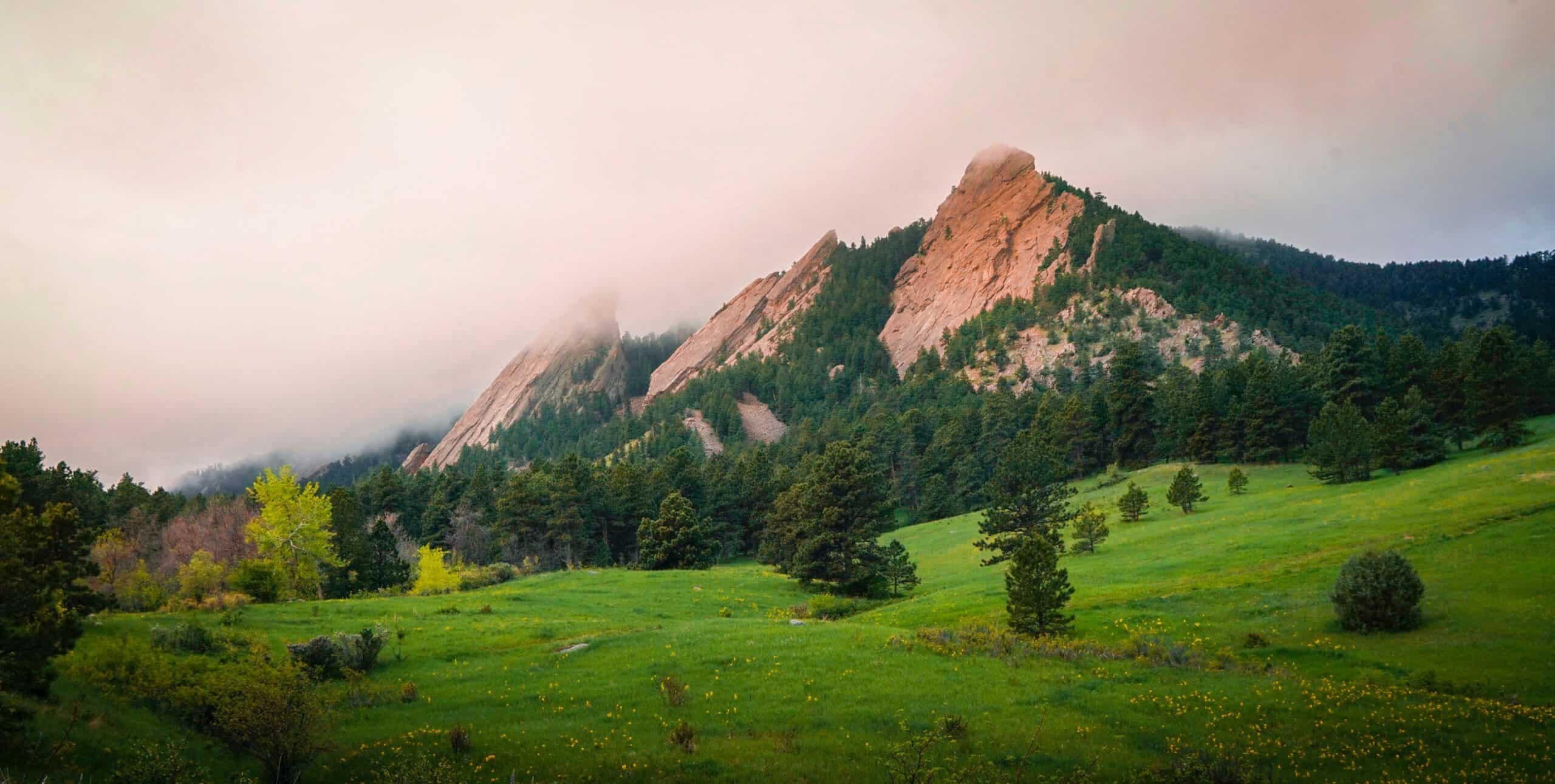 The skyline of Boulder, Colorado and green grass.