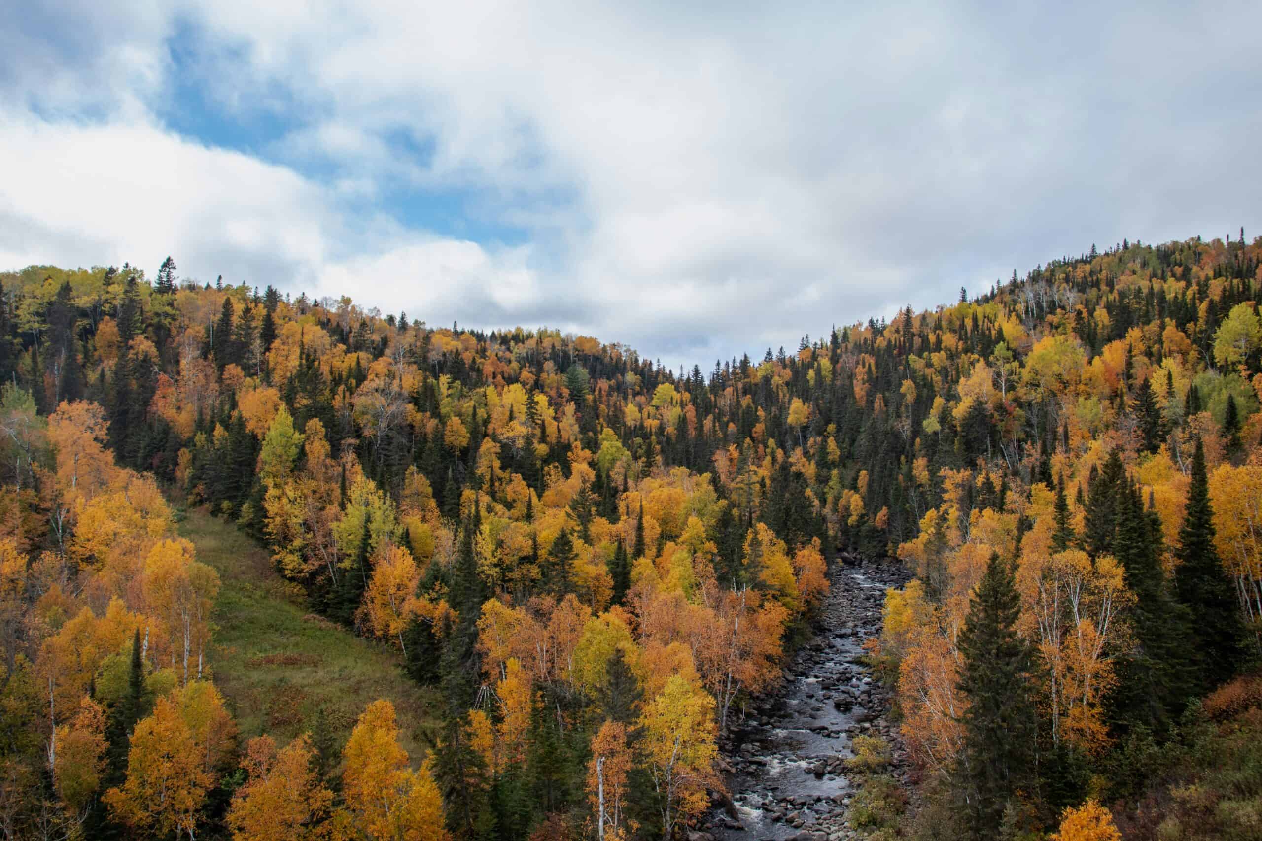Northwoods Winter Trail Marathon in Duluth, Minnesota. One of the hardest marathons in the US.