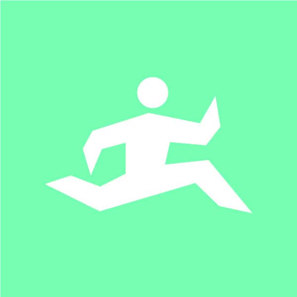 The Florida Run Lake Louisa race logo