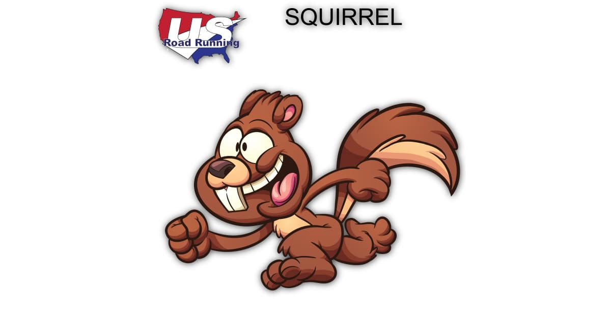 Squirrel 5k 10k & Half Marathon