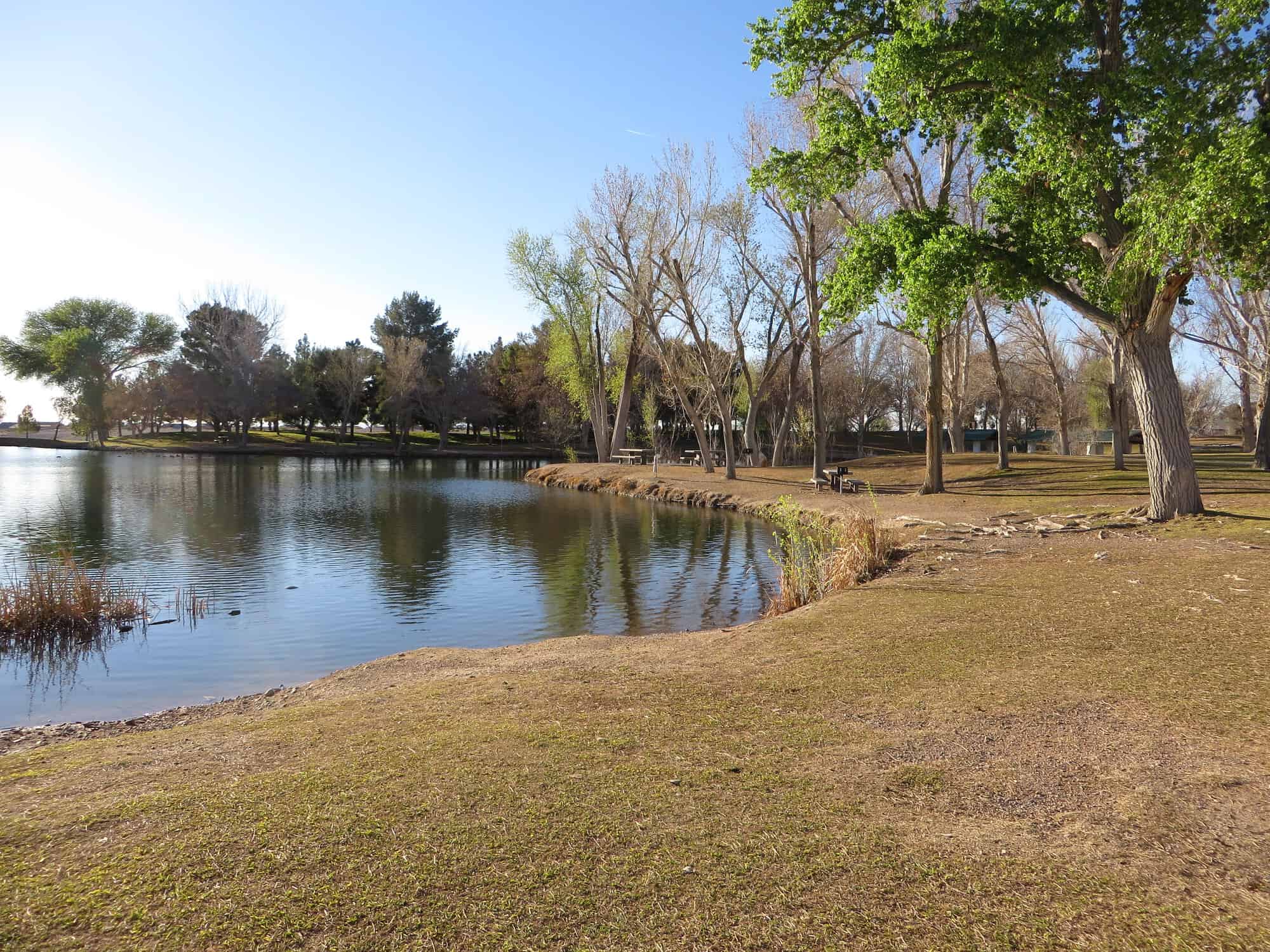 Out with the Old Half Marathon 10k & 5k