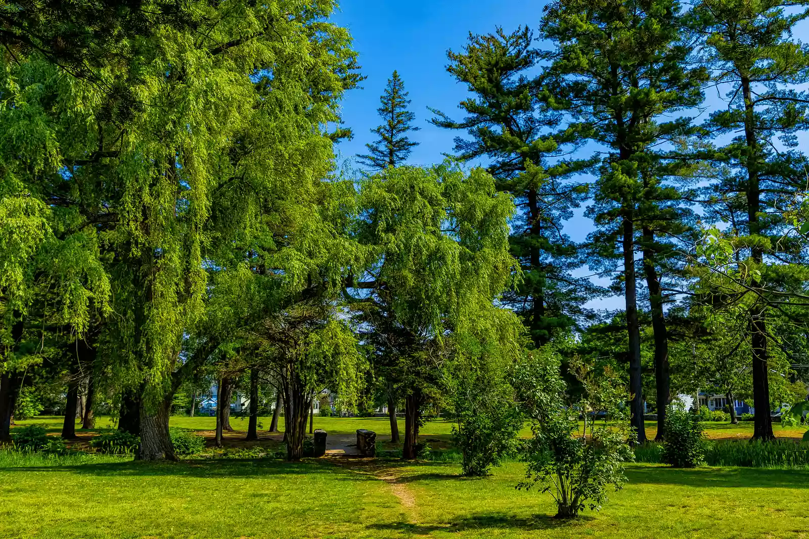 rolling country roads between Hopkinton and Concord