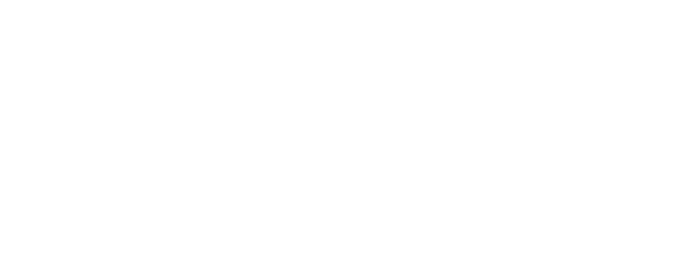 Bay of Fundy International Half Marathon logo