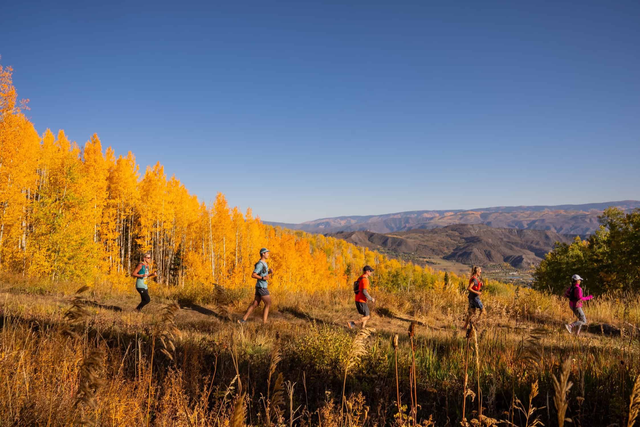 Golden Leaf Half Marathon