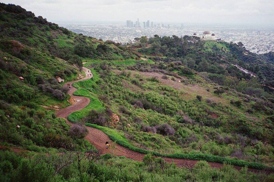Griffith Park Trail Half Marathon