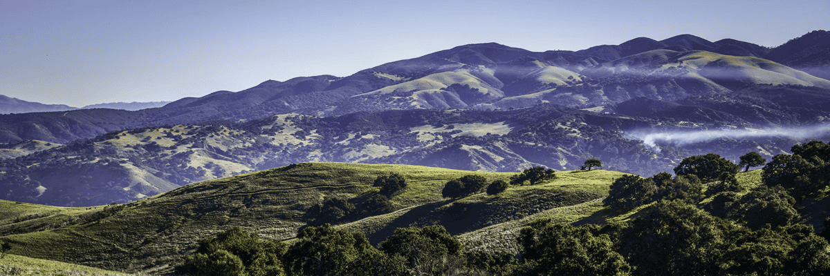 Golden State Trail Run
