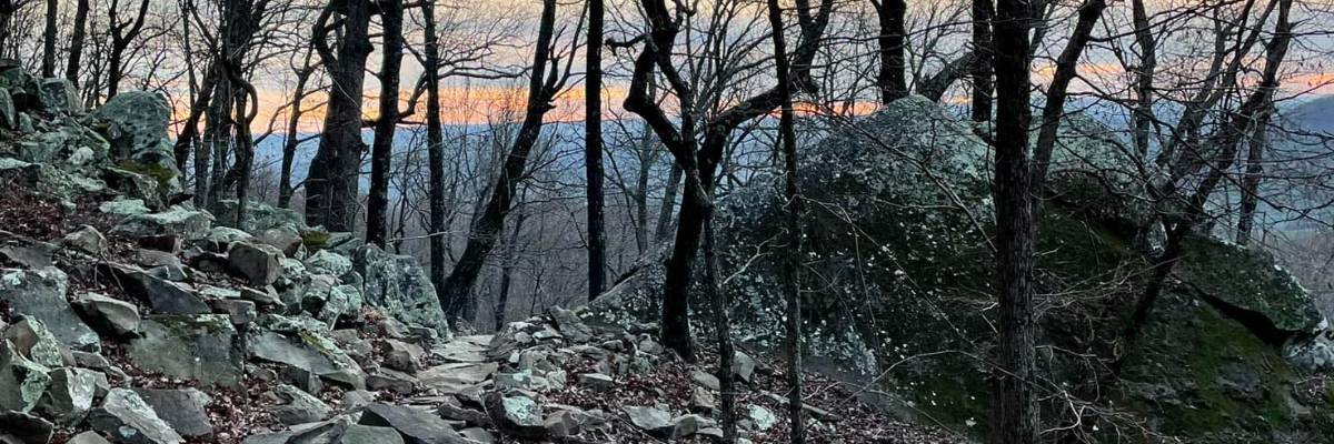 Grit and Guts Trail Race