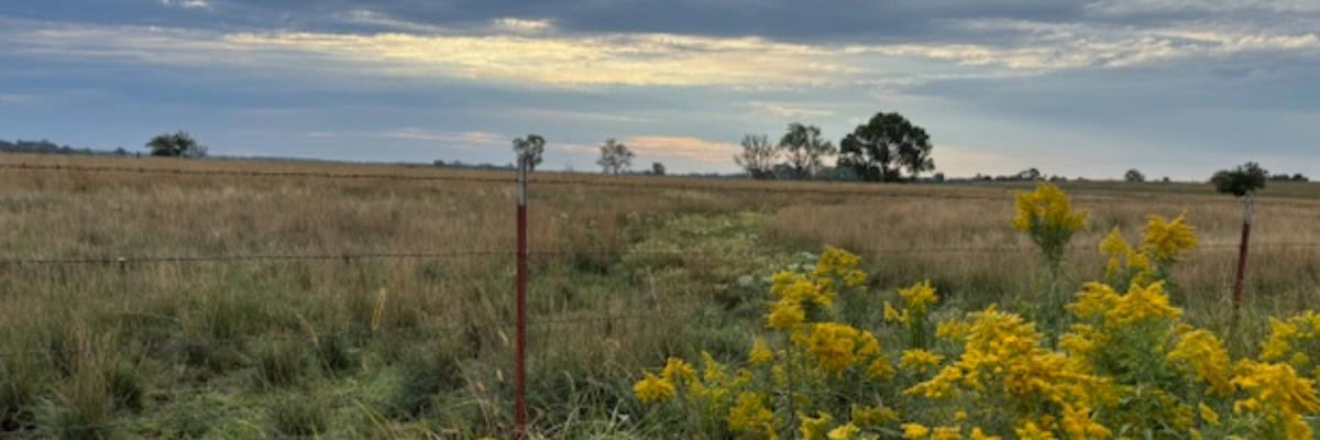 Heart of the Prairie Run in Nickerson, KS scenery