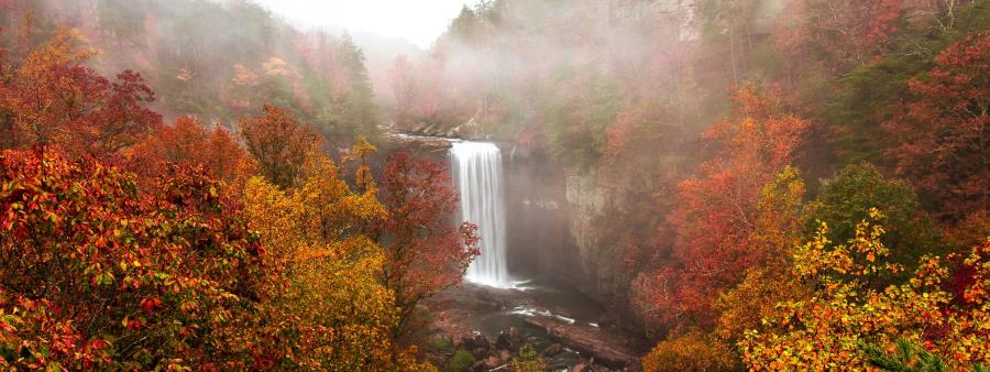 Lula Lake Trail Blazer in Lookout Mountain, GA scenery