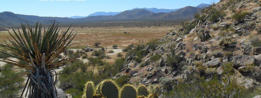 Old West Trail Runs in Julian, CA scenery