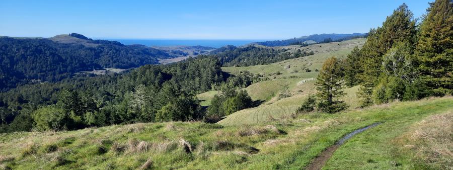 Sonoma Coast Trail Runs